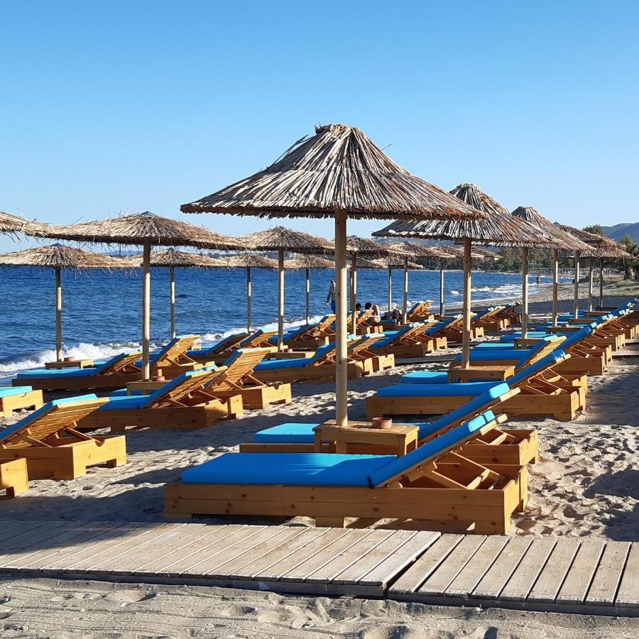Studio Anlia Διαμέρισμα Νέα Μάκρη Εξωτερικό φωτογραφία